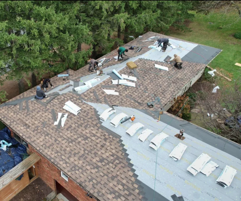 Expert Assistance for Your Roof Insurance Claim