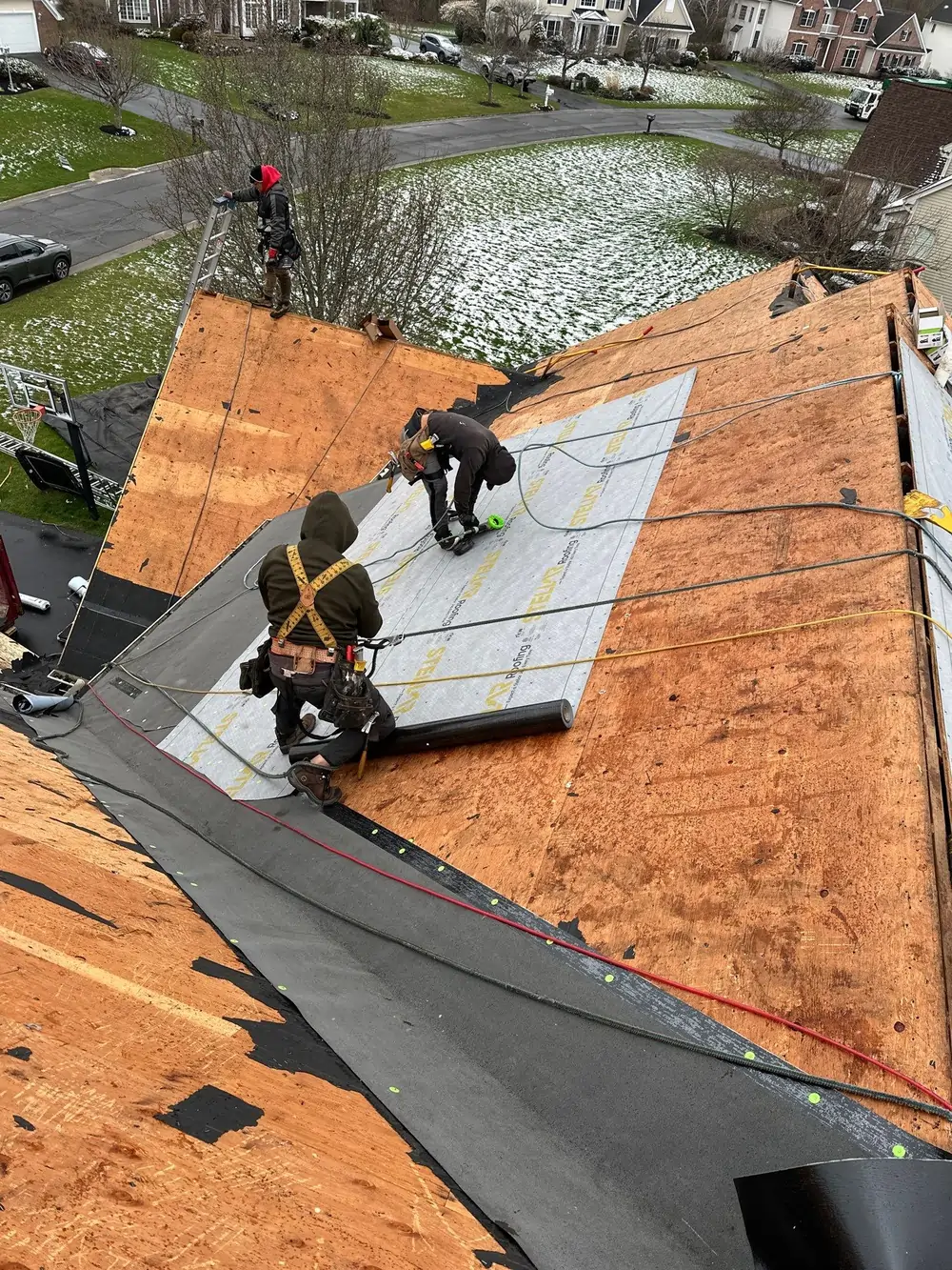Roof Shingle Replacement